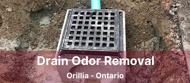  Drain Odor Removal Orillia - Ontario